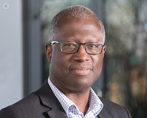 Prof. Frank Chinegwundoh MBE Prof. Frank Chinegwundoh MBE